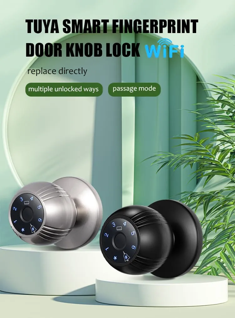 WAFU WF-Q7 Smart Ball Knob Lock — Smart Ball Knob Lock, modern minimalist | detail image 1