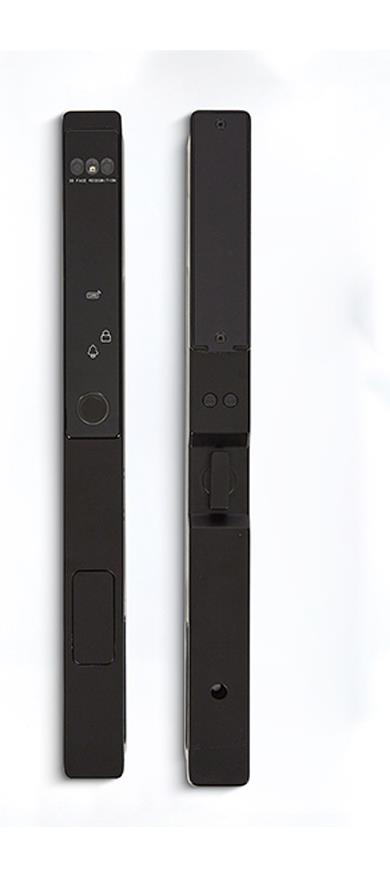 Serrure aluminium entièrement automatique WF-021 avec visage 3D et veine palmaire